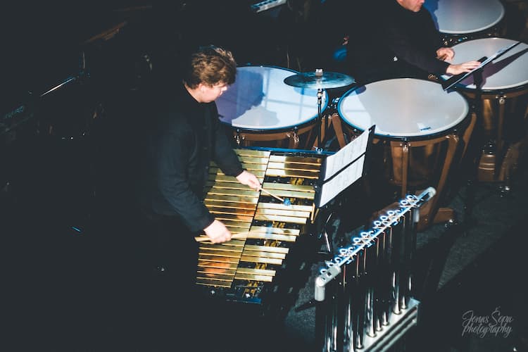 Percussionist 2018